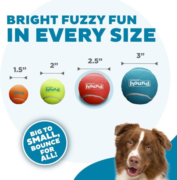 Outward Hound Squeaker Ballz Fetch Dog Toy - Image 3