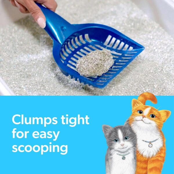 Fresh Step Clumping Cat Litter - Image 5
