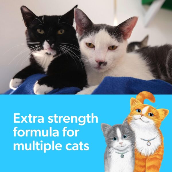 Fresh Step Clumping Cat Litter - Image 4