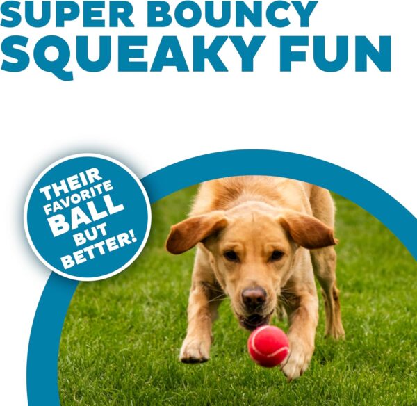 Outward Hound Squeaker Ballz Fetch Dog Toy - Image 4